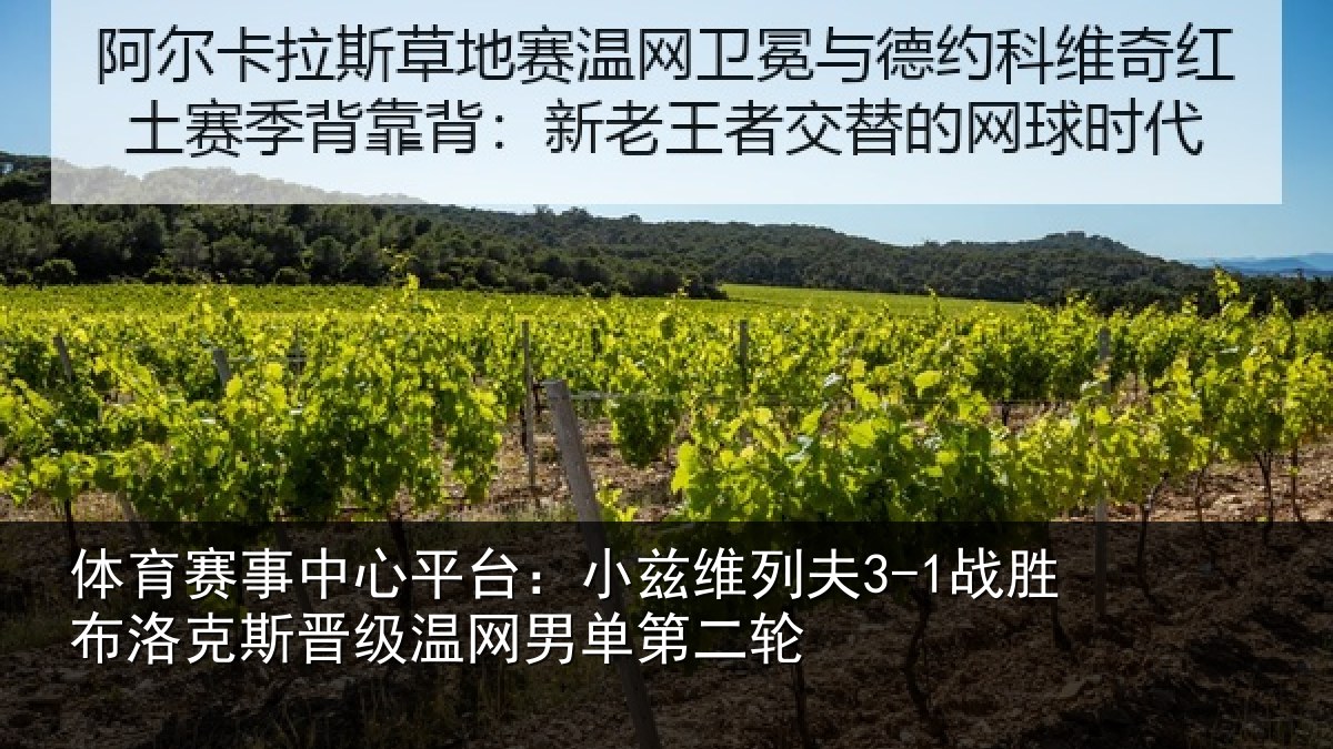 体育赛事中心平台:小兹维列夫3-1战胜布洛克斯晋级温网男单第二轮