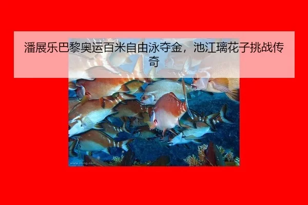pan-zhan-le-ba-li-ao-yun-bai-mi-zi-you-yong-duo-jin-chi-jiang-li-hua-zi-tiao-zhan-chuan-qi-3-404.jpg